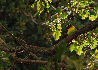 Прикрепленное изображение: Снимок.JPG